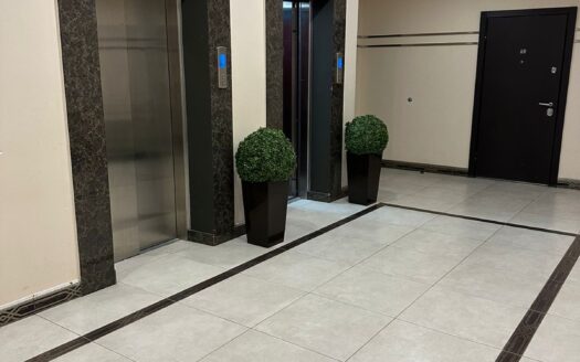 1-к. квартира, 62 м², 11/17 эт. ул. Генерала Епишева, 1к1