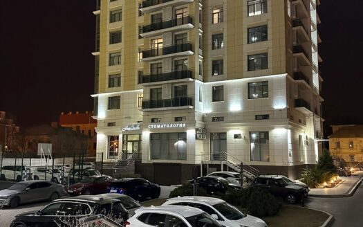 1-к. квартира, 62 м², 11/17 эт. ул. Генерала Епишева, 1к1