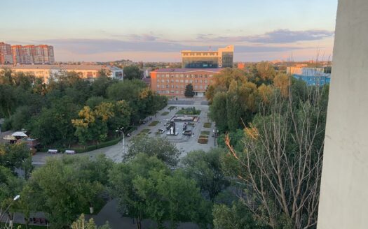 4-к. квартира, 170 м², 7/11 эт. ул. Савушкина, 4к1